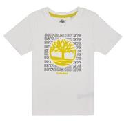 Lyhythihainen t-paita Timberland  T25T97  10 vuotta