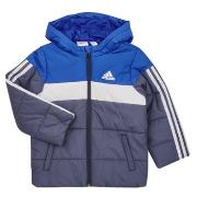 Toppatakki adidas  LK PAD JKT  3 / 4 vuotta