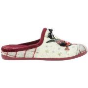 Kengät Koomac  Chaussons  38