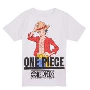 Lyhythihainen t-paita Name it  NKMNATE ONEPIECE SS TOP BOX  VDE  8 Jah...