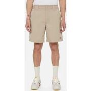 Shortsit & Bermuda-shortsit Dickies  Fincastle short  EU S