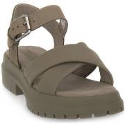 Sandaalit Timberland  GREYFIEL SANDAL  37