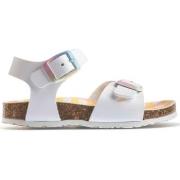 Poikien sandaalit Pablosky  Champion Kids Sandals - Champion Blanco  3...