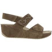 Sandaalit Scholl  ABERDEEN WEDGE  36