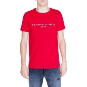 Pitkähihainen poolopaita Tommy Hilfiger  TOMMY LOGO TEE MW0MW11797  EU...