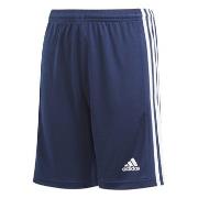 Shortsit & Bermuda-shortsit adidas  GN5764  Yksi Koko