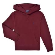 Svetari Polo Ralph Lauren  LS PO HOOD-TOPS-KNIT  EU S