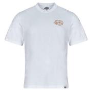 Lyhythihainen t-paita Dickies  DICKIES GLOBE TEE SS  EU S