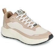 Kengät IgI&CO  D.KAIZEN   GTX  38
