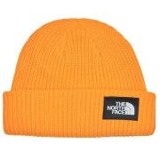 Pipot The North Face  SALTY LINED BEANIE  Yksi Koko