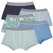 Bokserit Petit Bateau  LOT BOXER X5  6 vuotta