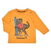 T-paidat pitkillä hihoilla Timberland  TEE-SHIRT MANCHES LONGUES T6025...