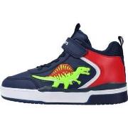 Tennarit Bull Boys  AL2203  26