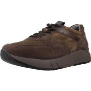 Tennarit Stonefly  ACTION 31 NABUK/VELOUR  41