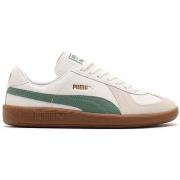 Tennarit Puma  Army trainer og  36