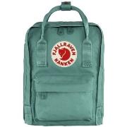 Reppu Fjallraven  FJÄLLRÄVEN Kanken Mini - Frost Green  Yksi Koko