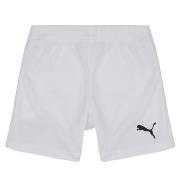 Shortsit & Bermuda-shortsit Puma  TEAMRISE SHORT  5 / 6 Jahre