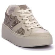 Tennarit NeroGiardini  NERO GIARDINI 412 DOLLARINO BEIGE  38