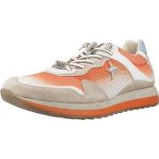 Tennarit Cetti  C1382 V25  40