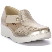 Sandaalit Imac  PLATINO AMALIA  36