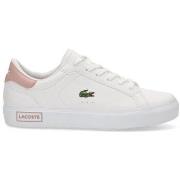 Kengät Lacoste  78781  36