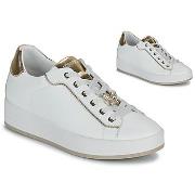 Kengät IgI&CO  D.ALINA  40