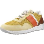 Tennarit Cetti  C1370 V25  40