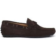 Kengät Exton  TERRA CAMOSCIO  40