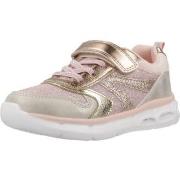 Tennarit Chicco  CORVINA  27