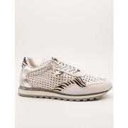 Tennarit Cetti  C-848 Nature  39