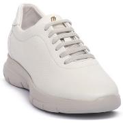 Tennarit Frau  EAGLE OFF WHITE  40