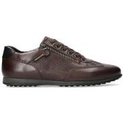 Tennarit Mephisto  Leon  39