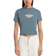 T-paidat & Poolot Dickies  DK0A4Z8FG701 CENTER LOGO  EU S