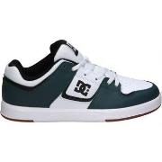 Kengät DC Shoes  ADYS400073 CURE  43
