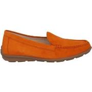 Tennarit Gabor  42.440.32  36