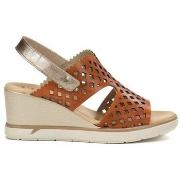 Sandaalit Fluchos  F1972  36