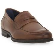 Kengät Fluchos  HABANA CAMEL  41