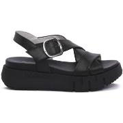 Sandaalit NeroGiardini  NERO GIARDINI  100 TAMIGI NERO  37