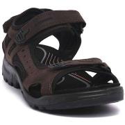 Sandaalit Ecco  OFFROAD  44