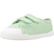 Tennarit Blanditos  COCOBD  29