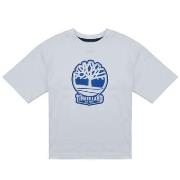 Lyhythihainen t-paita Timberland  T60422  6 vuotta