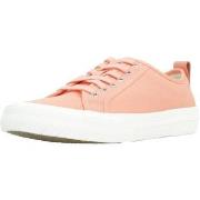 Tennarit Clarks  ROXBY LACE  36