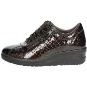 Kengät Cinzia Soft  IV122448  38