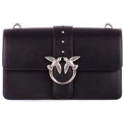 Olkalaukut Pinko  105857 A0F1  Yksi Koko