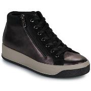 Kengät IgI&CO  D.AVA  36