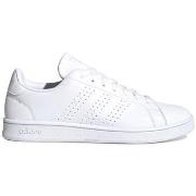 Kengät adidas  Advantage Base  46
