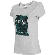 Lyhythihainen t-paita 4F  TSD031  EU XXL