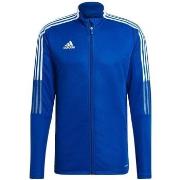 Svetari adidas  Tiro 21  EU XXL