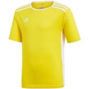 Lyhythihainen t-paita adidas  JR Entrada 18  EU XS