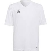 Lyhythihainen t-paita adidas  Entrada 22 Jsy  EU M